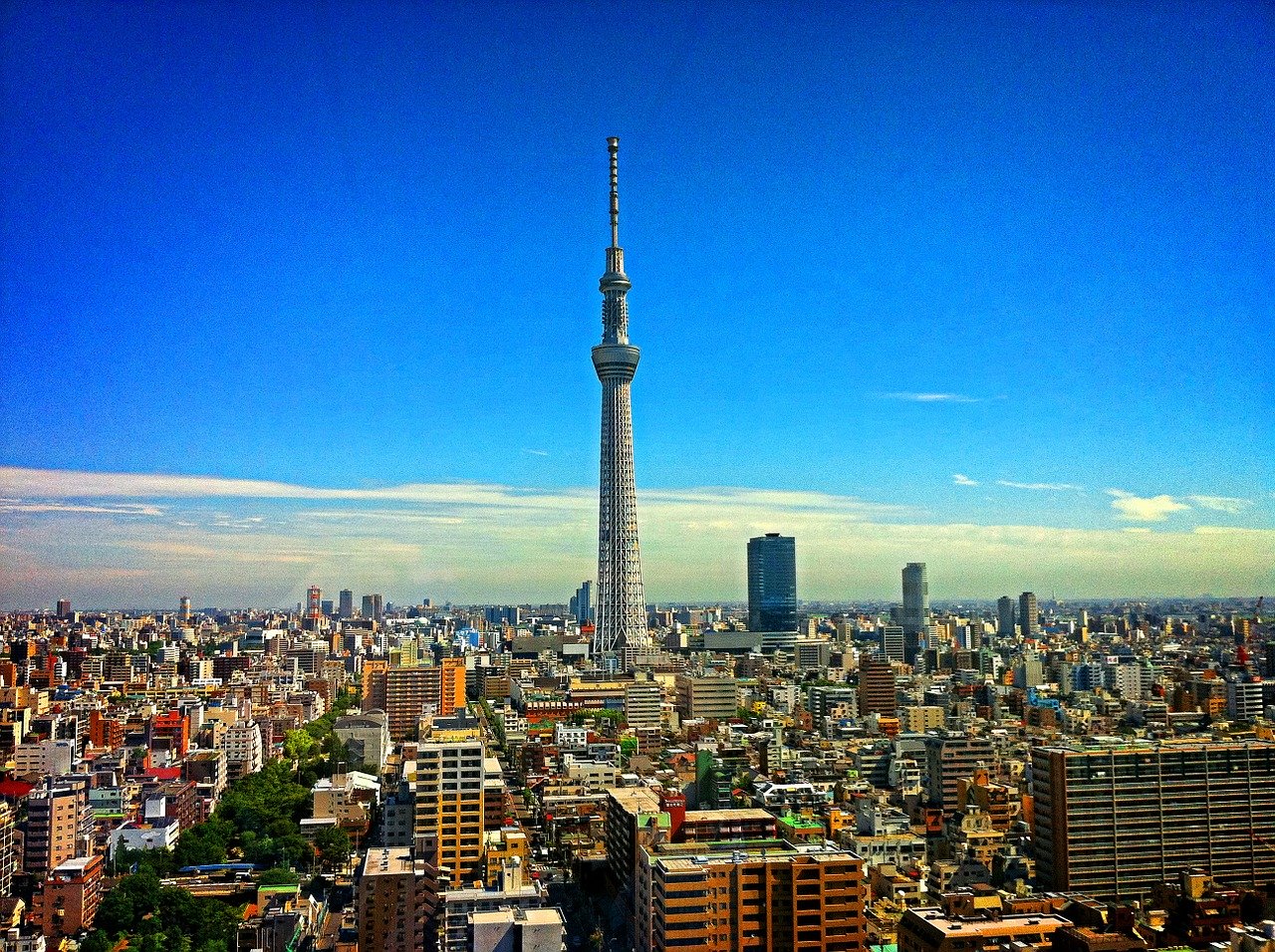 東京の大学に行きたい 東京の大学に行くメリットとデメリット 12選 世知note